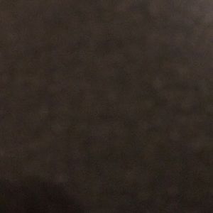 Meet your Posher, Alisha